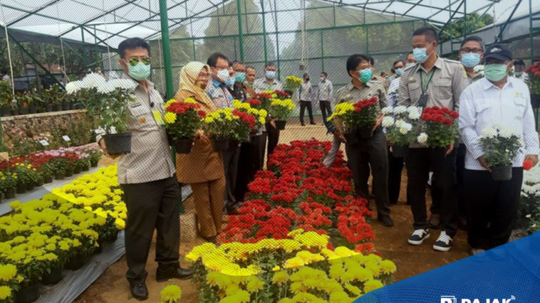 Nilai Ekspor Tanaman Hias Capai 10,77 Juta Dollar AS