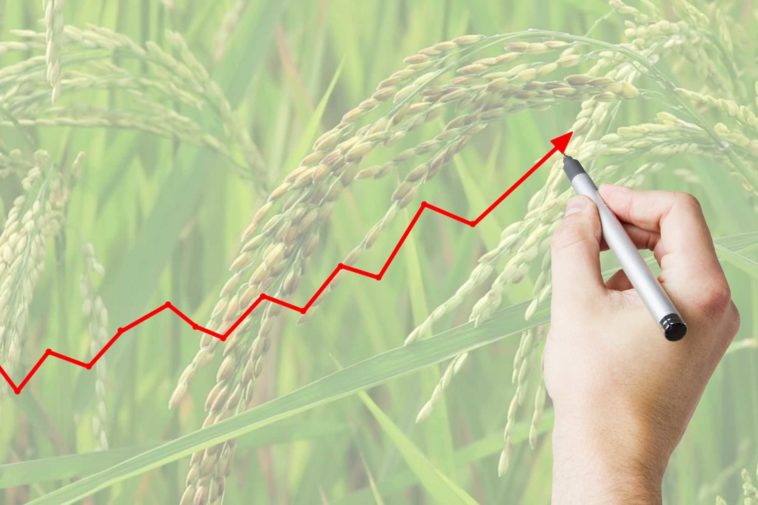 Sektor Pertanian, Salah Satu Aktor Pertumbuhan Ekonomi