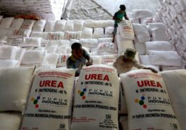 Petrokimia Gandeng Distributor Salurkan Pupuk Bersubsidi