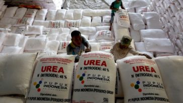 Petrokimia Gandeng Distributor Salurkan Pupuk Bersubsidi
