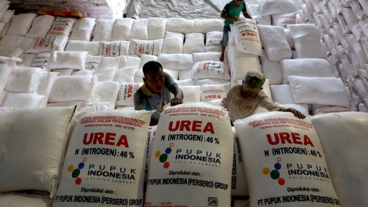 Petrokimia Gandeng Distributor Salurkan Pupuk Bersubsidi