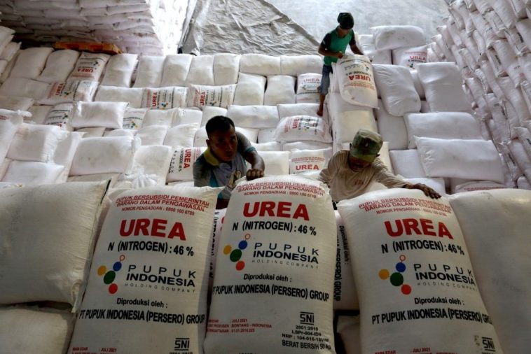 Petrokimia Gandeng Distributor Salurkan Pupuk Bersubsidi