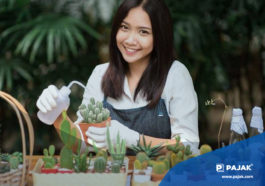 Strategi Bikin Hobi Jadi Bisnis Menguntungkan