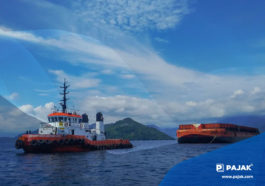 PLN dan Ditjen Minerba Lakukan Enforcement Batu Bara