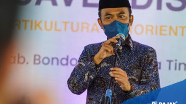 Pengembangan Produk Ekspor Pertanian dan Hortikultura