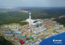 Pajak Karbon dan Pangkas Emisi CO2 Demi Listrik Bersih