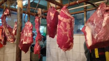 Sikap Pemerintah Terhadap Kenaikan Harga Daging Sapi