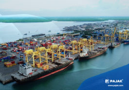 Pemerintah Rilis Ketentuan Terbaru PPN-PPnBM di FTZ