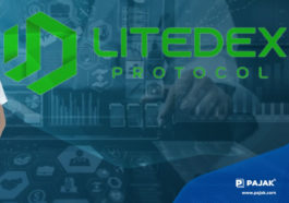 Litedex Protocol Fokus Bangun Konsep Meta Finance