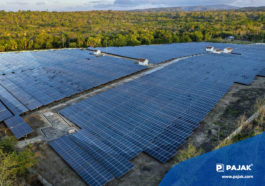 PLN: Pembangkit EBT 648 MW Beroperasi Pada 2022