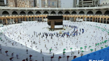 PPN Arab Saudi 15 Persen