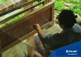 Begini Ketentuan Agar UMKM Bebas Pajak Penghasilan