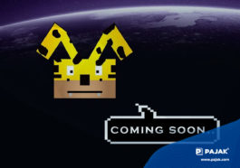 Marsupilamii, Token Kripto untuk Selamatkan Kucing