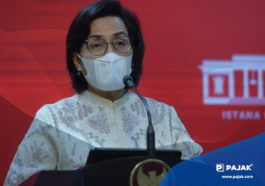 Sri Mulyani Tetapkan 332 Industri Tujuan Investasi PPS