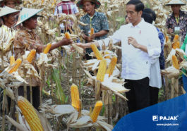 Hasil Pertanian yang Kena PPN Final