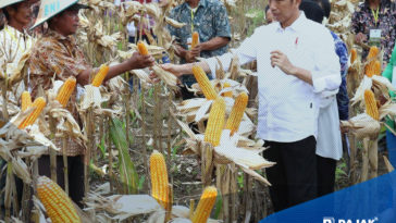 Hasil Pertanian yang Kena PPN Final
