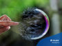 bubble burst