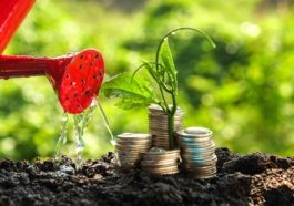 Manfaat Investasi Berkelanjutan