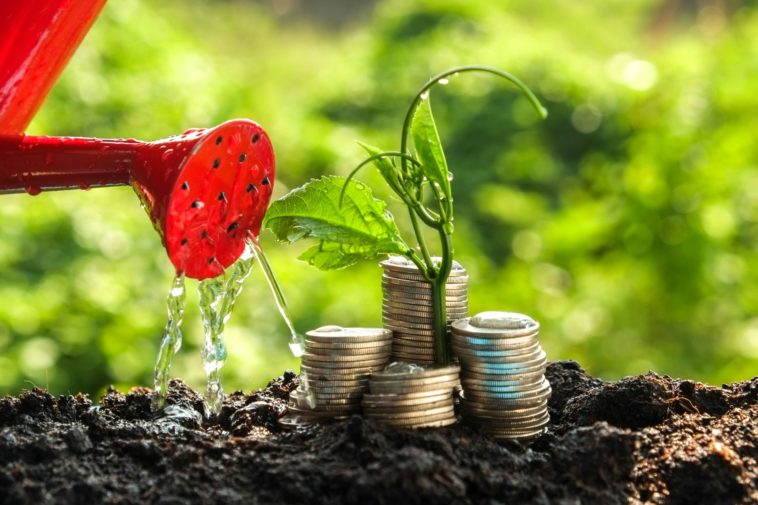 Manfaat Investasi Berkelanjutan