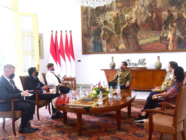 Pertemuan Jokowi dan Delegasi IMF