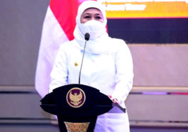 pemutihan pajak kendaraan