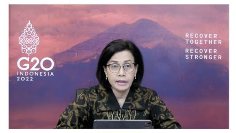 Penerimaan Pajak Hingga Akhir Juli
