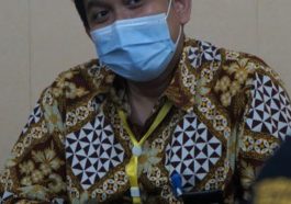 Penerimaan Pajak Provinsi Maluku