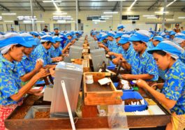 Dampak Kenaikan Cukai Rokok