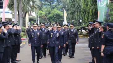 Penerimaan Bea Cukai
