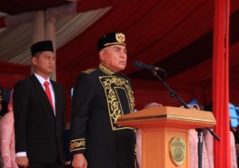 Apresiasi WP Patuh