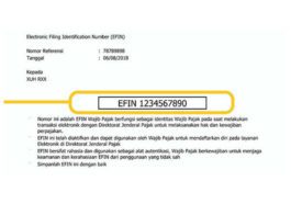 Cara Mendapatkan EFIN