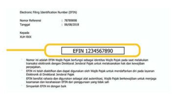 Cara Mendapatkan EFIN