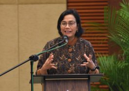 Realisasi Pendapatan Negara