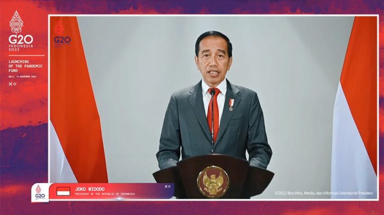 presiden jokowi luncurkan dan pandemi