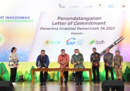 Pemerintah Investasi Rp 10 T untuk Green Energy
