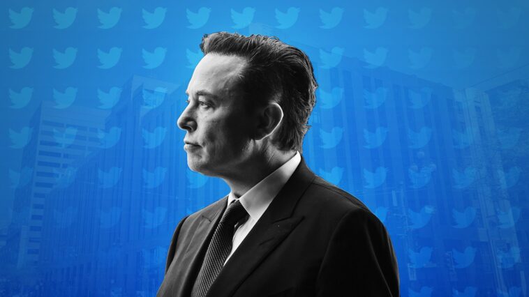 elon musk twitter blue