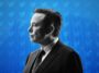 elon musk twitter blue