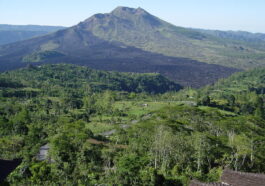 Mengenal Dana Bagi Hasil Sumber Daya Alam
