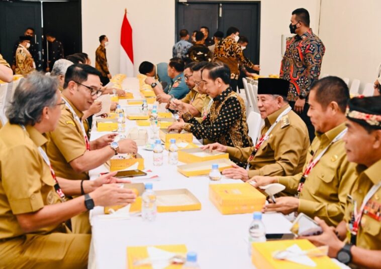 Jokowi Dorong Pemda Bentuk Dana Abadi