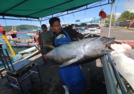 PNBP Perikanan Tangkap
