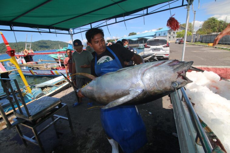 PNBP Perikanan Tangkap