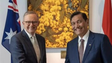 Luhut Undang Australia untuk Kembangkan Baterai