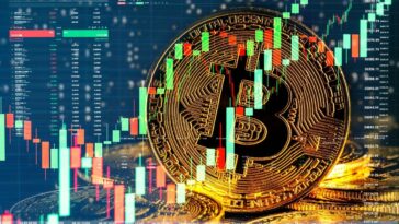 Investor Kripto Indonesia
