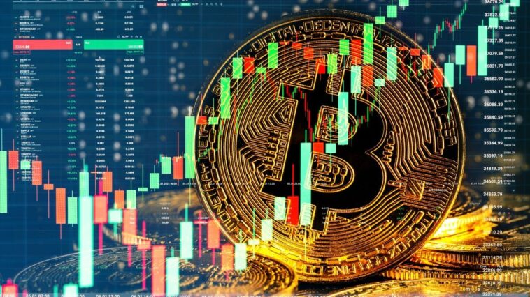 Investor Kripto Indonesia