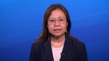 IMF ekonomi Indonesia