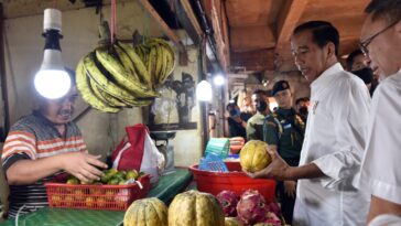 Harga Pangan Terkendali