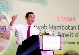 Luhut: 9 Juta Ha Lahan Sawit Belum Bayar Pajak