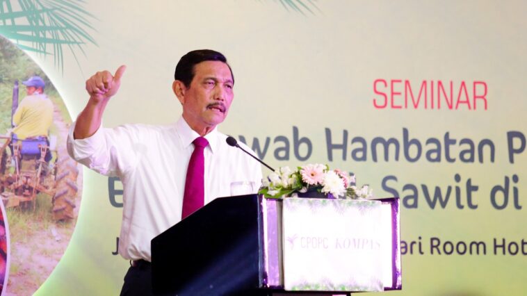 Luhut: 9 Juta Ha Lahan Sawit Belum Bayar Pajak