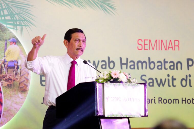 Luhut: 9 Juta Ha Lahan Sawit Belum Bayar Pajak