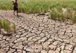 Pemerintah Antisipasi Lonjakan Inflasi Akibat El Nino